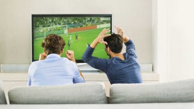 Photo of The Ultimate Guide to Watching the Soccer Championship:Fun Facts